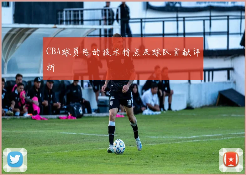 CBA球员陈的技术特点及球队贡献评析