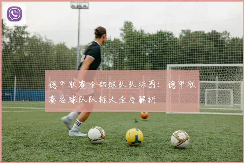 德甲联赛全部球队队标图：德甲联赛各球队队标大全与解析