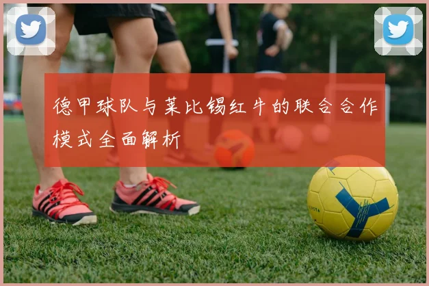德甲球队与莱比锡红牛的联合合作模式全面解析