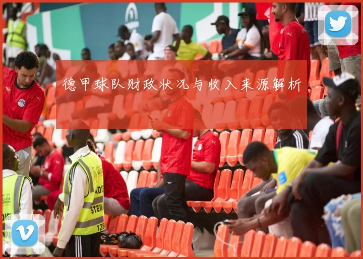 德甲球队财政状况与收入来源解析